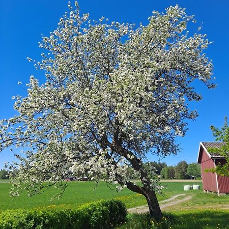Levomaeki Farm Cottages Ypaja Bagian luar foto