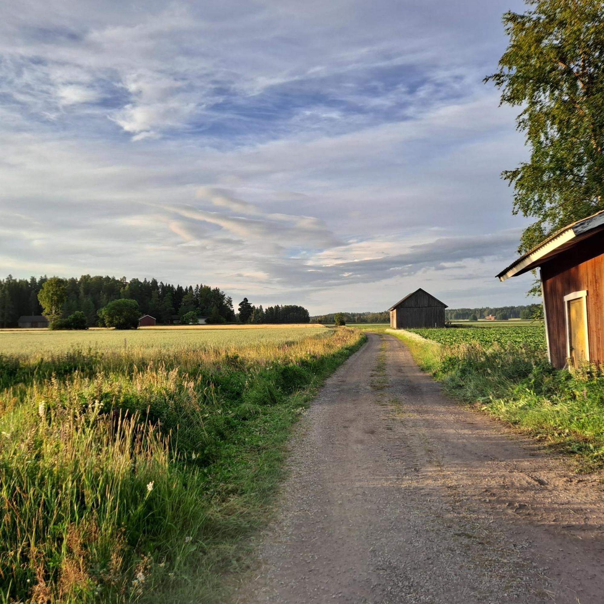 Levomaeki Farm Cottages Ypaja Bagian luar foto