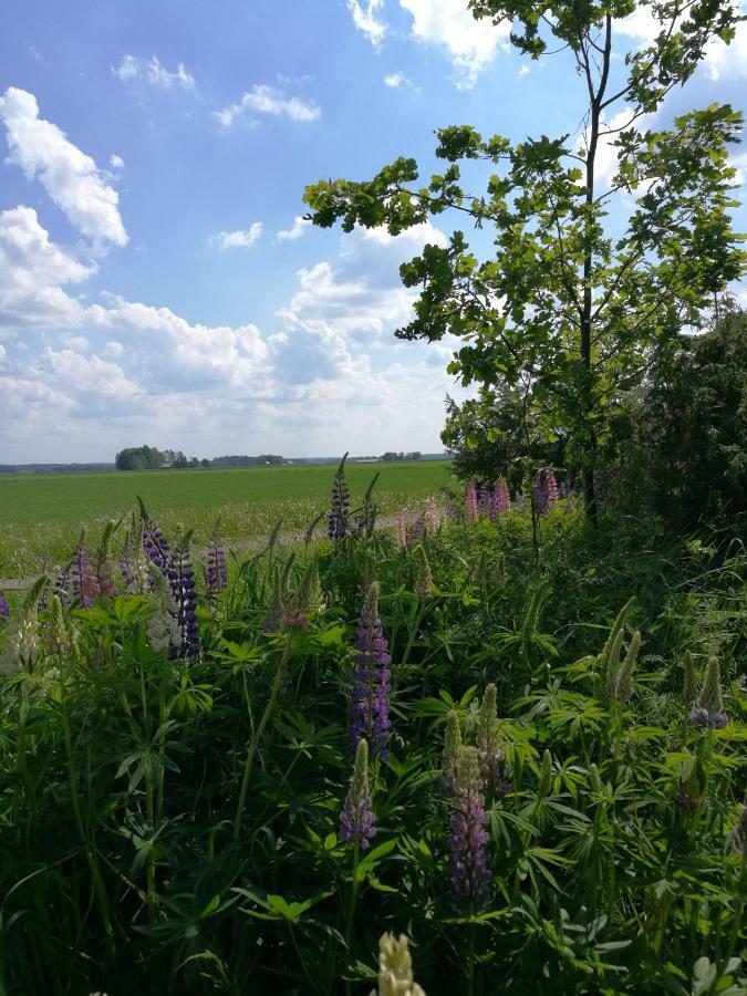 Levomaeki Farm Cottages Ypaja Bagian luar foto